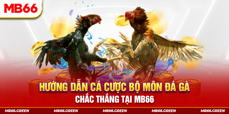 nohu666 CQ9 Điện Tử