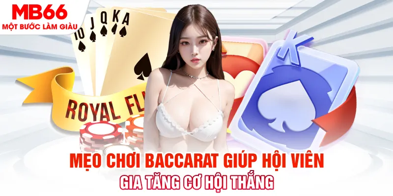 nohu666 đá gà 88