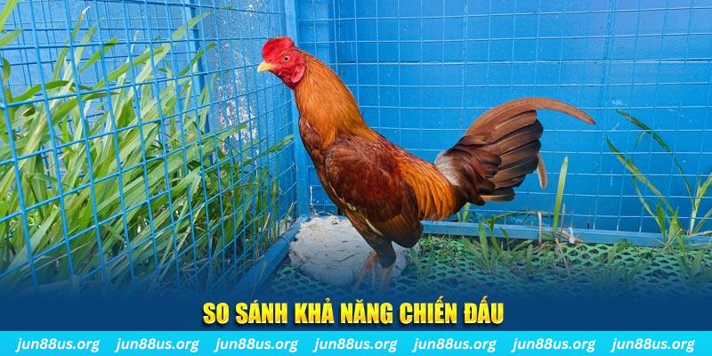 nohu666 xổ số tiền giang