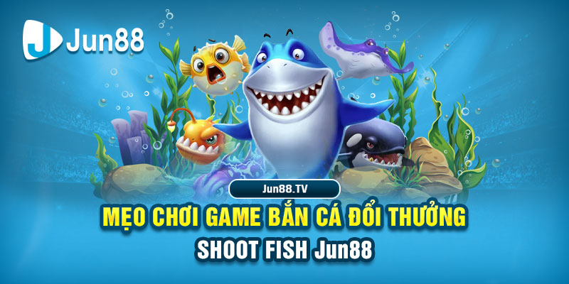 nohu666 tai game danh bai bigkool ve may tinh