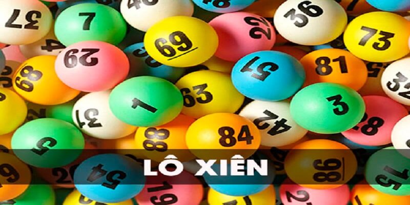nohu666 what is a casino comp program