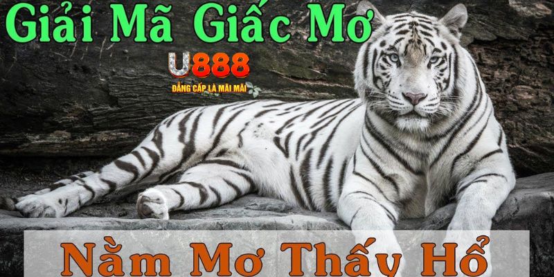 nohu666 xổ số kiến thiết miền bắc