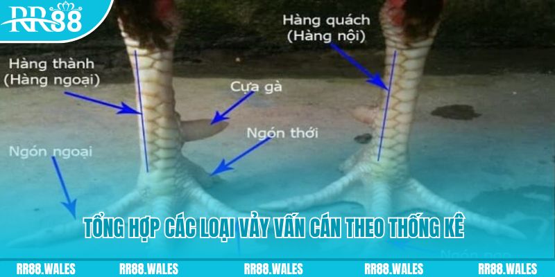 nohu666 nổ hũ chơi như thế nào