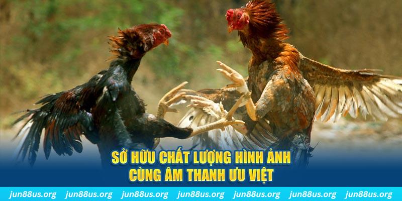 nohu666 tai game danh bai ve may tinh