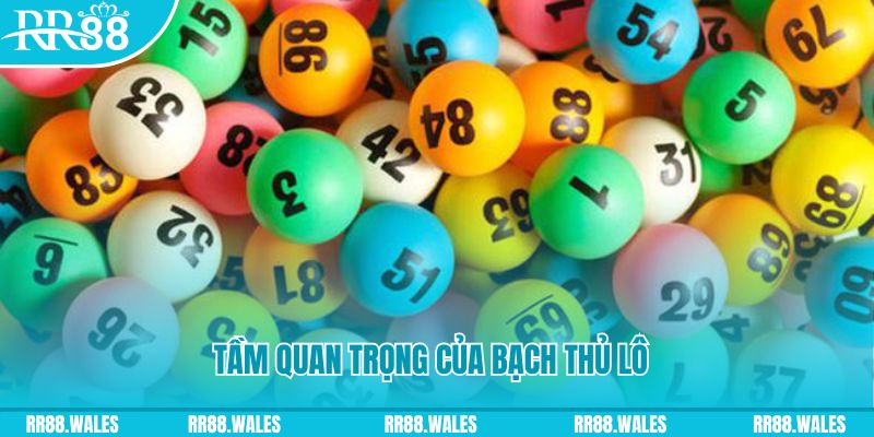 nohu666 đá gà trực tiếp casino