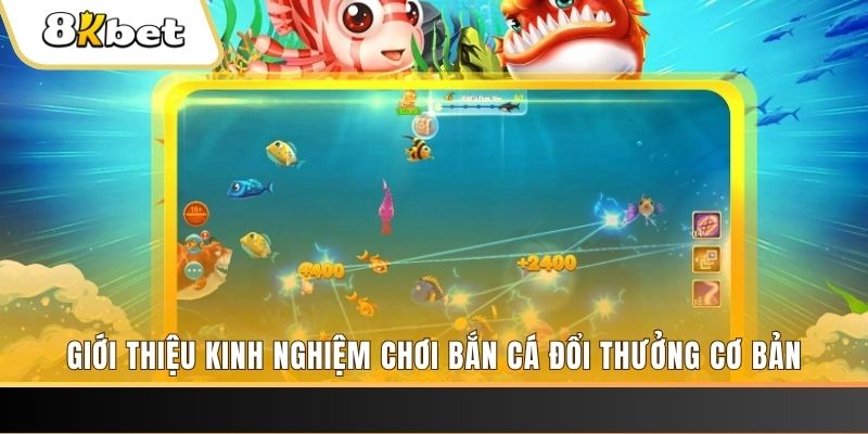 nohu666 8 bí ẩn chơi nổ hũ ít ai biết
