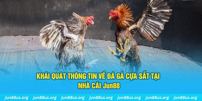 nohu666 game bài trên máy tính