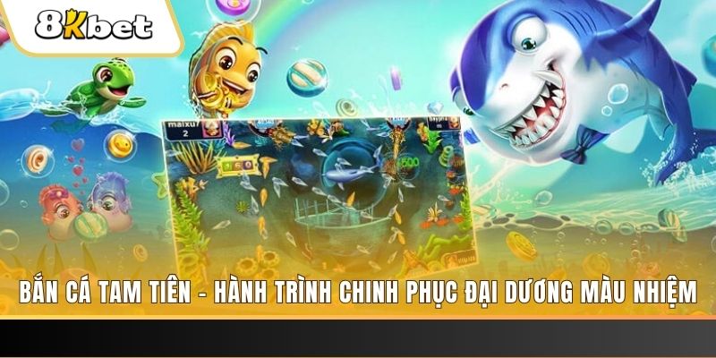 nohu666 đá gà hôm nay