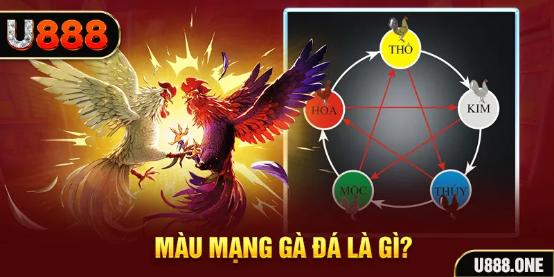 nohu666 so xo