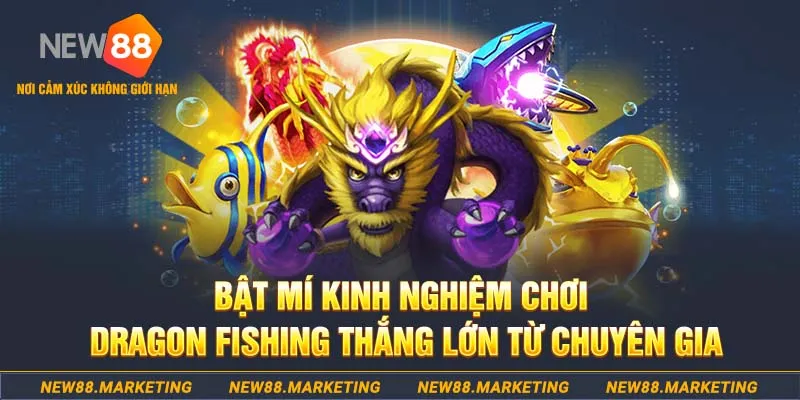 nohu666 who wants to be a millionaire slot