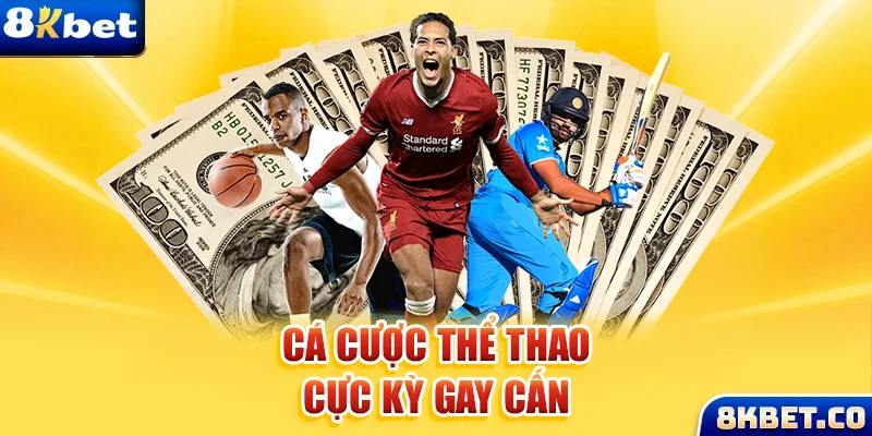 nohu666 Bữa tiệc dành cho thanh thiếu niên
